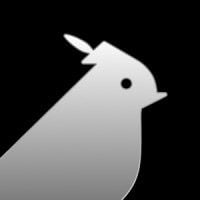 Image without alt