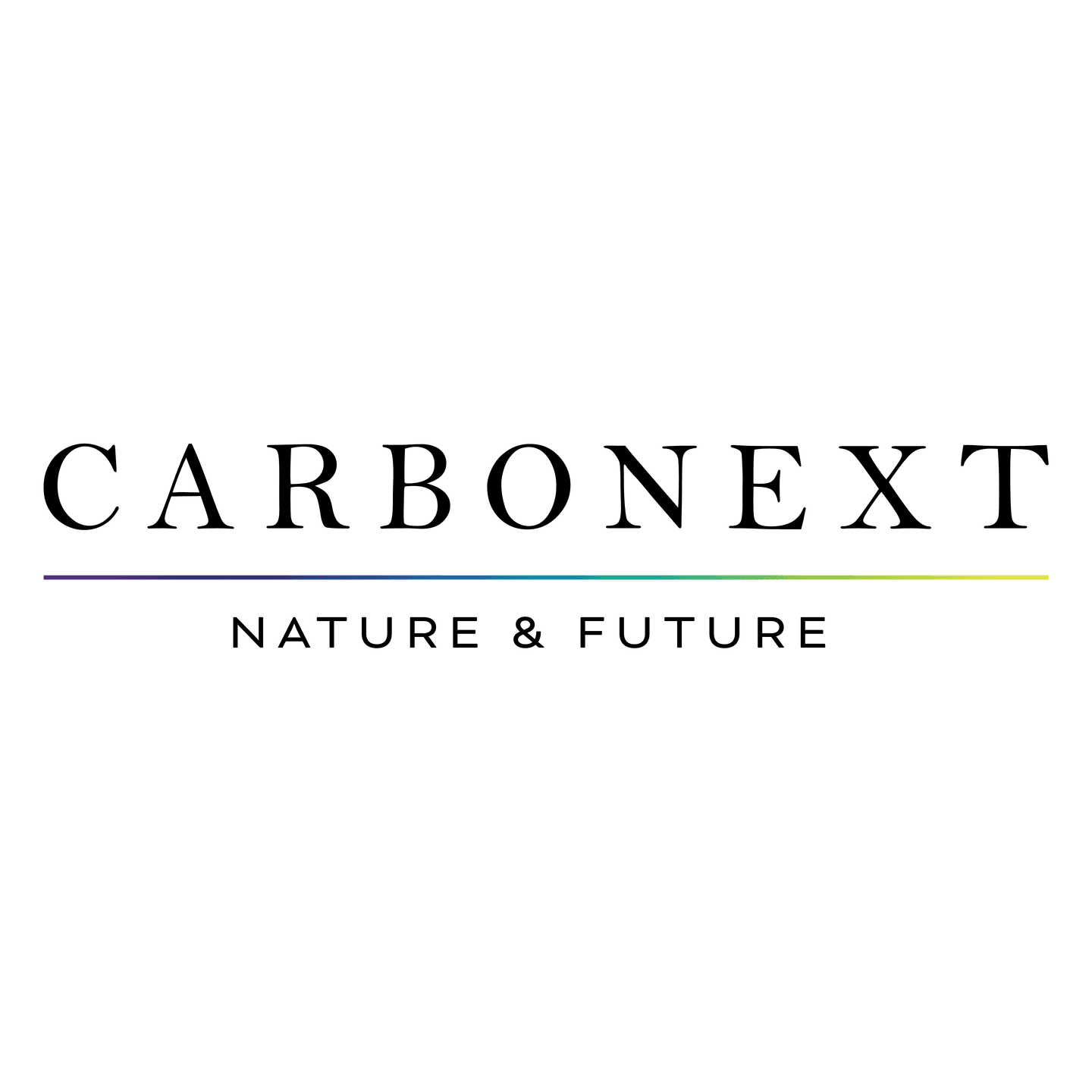 Image without alt