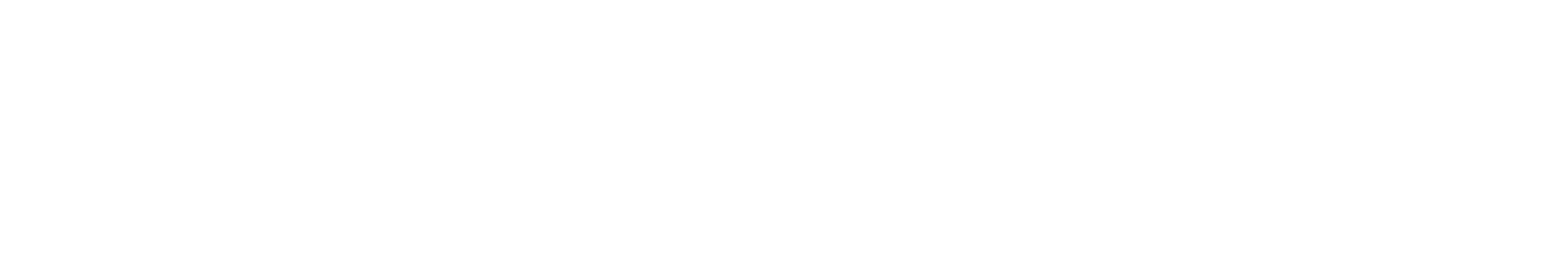logo-JP Morgan-3